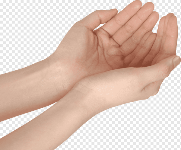 Протянутые ладони