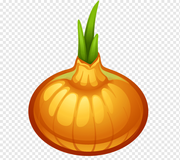 Овощи для детей лук