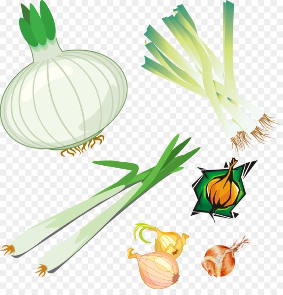 Зеленый лук вектор