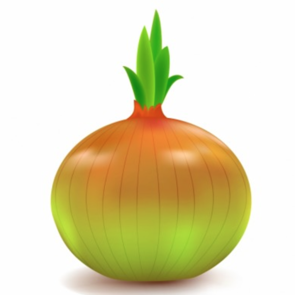 Лук на зелень