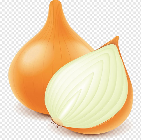 Лук репчатый зеленый