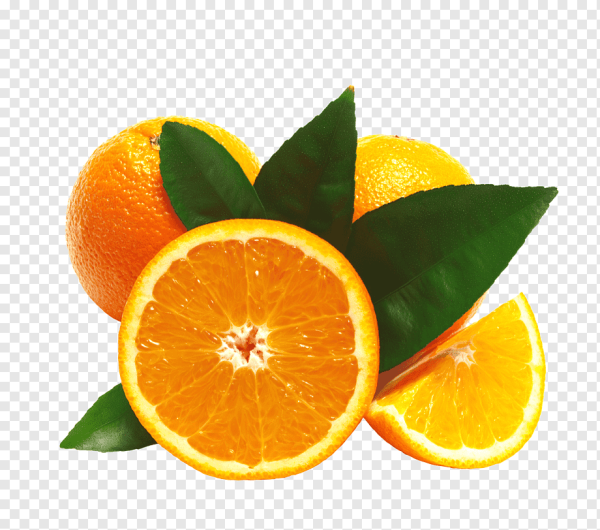 Лимон плод померанец