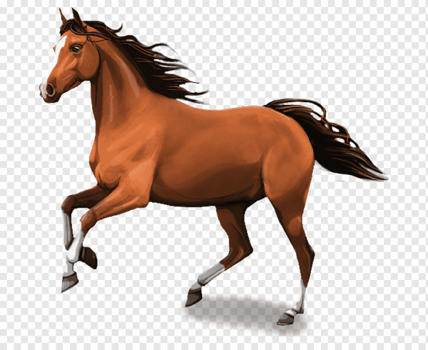 Лошадь для детей