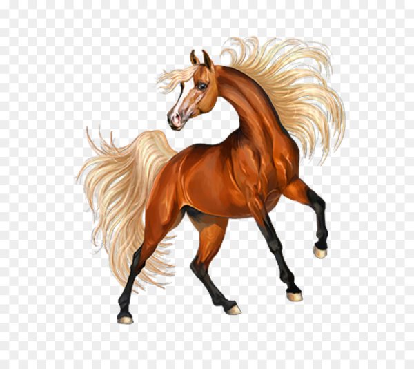 Лошадь на прозрачном фоне