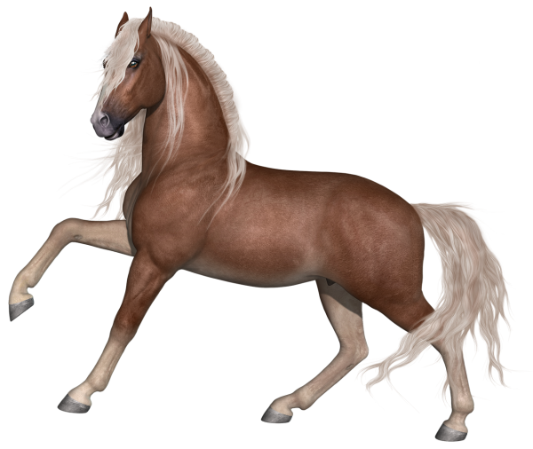 Домашние животные лошадь