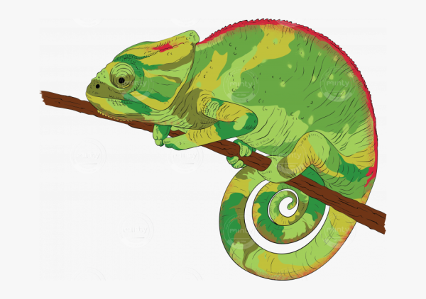 Векторный хамелеон