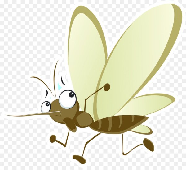 Комарик на прозрачном фоне