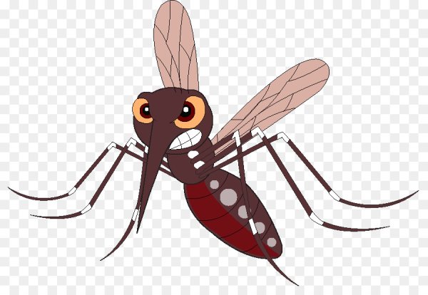 Комарик на прозрачном фоне