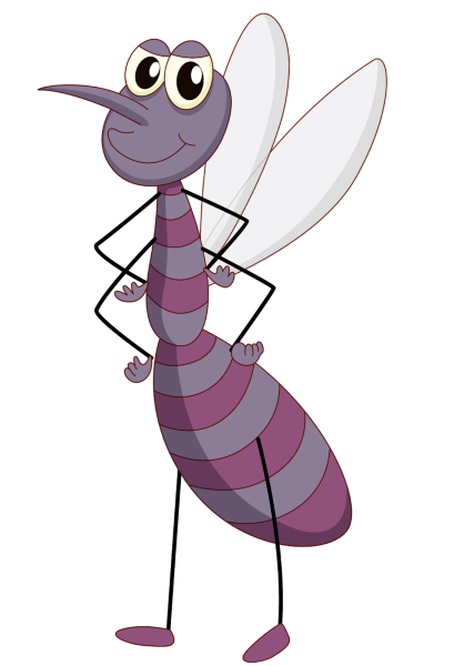 Комар на прозрачном фоне