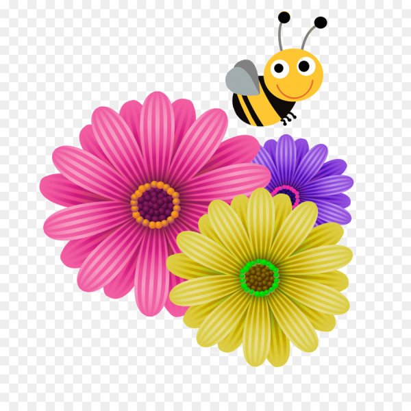 Цветы на прозрачном фоне