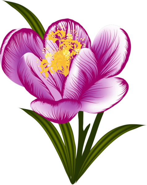 Цветочки на прозрачном фоне