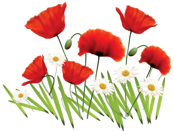 Цветы мультяшные