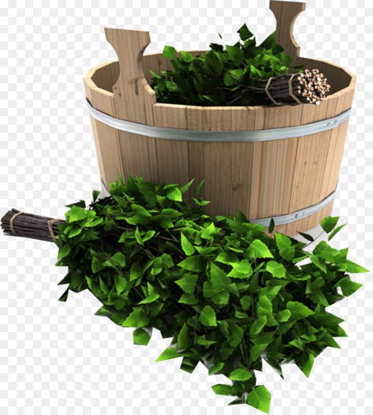 Березовый веник