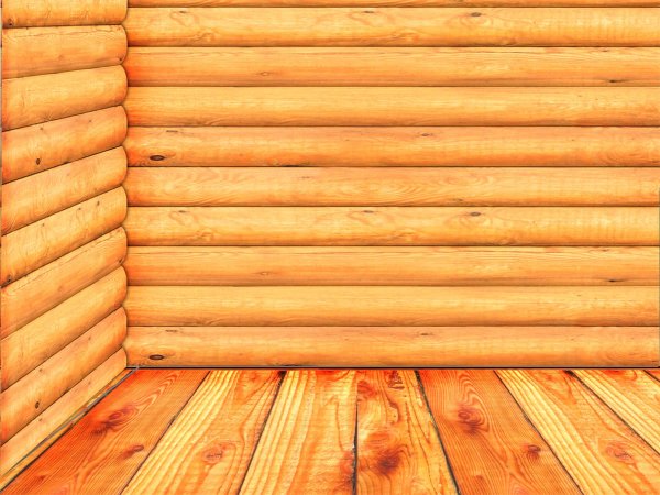 Банный веник вектор