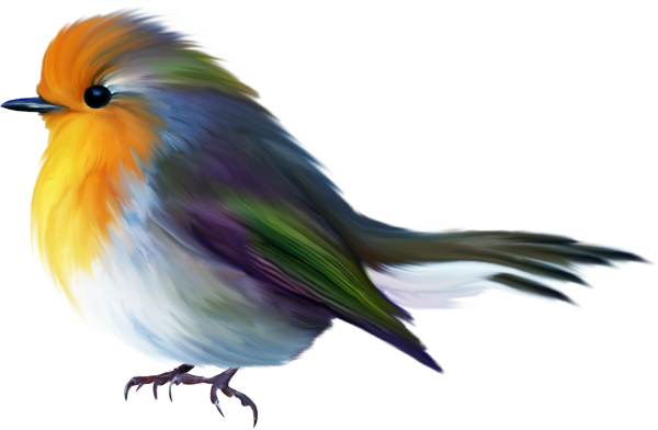Красивая птичка на прозрачном фоне