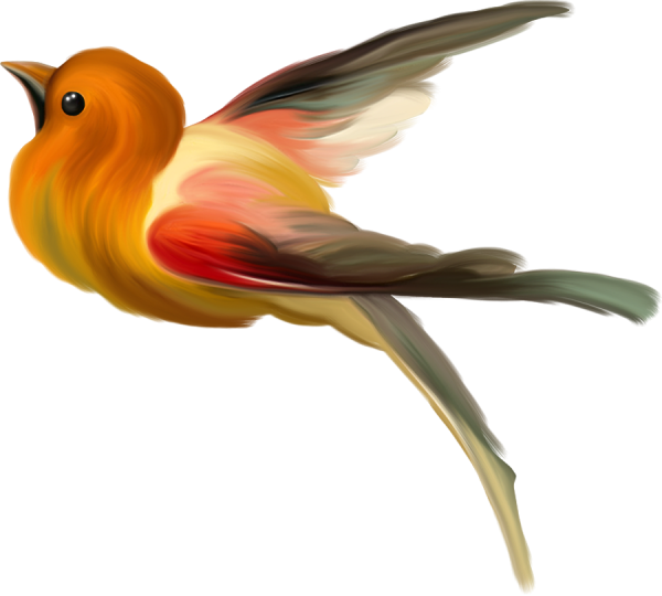 Красивые птицы на прозрачном фоне