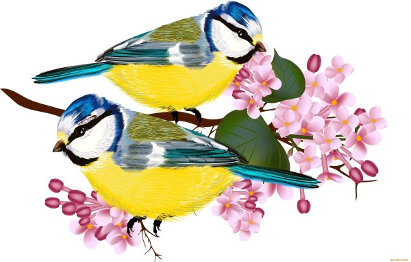 Синички мультяшные