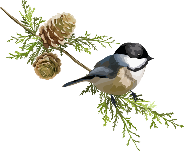 Зимующие птицы на прозрачном фоне