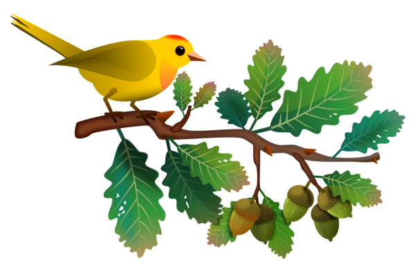 Птичка на ветке