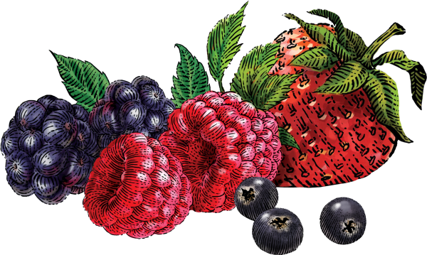 Ягоды на прозрачном фоне