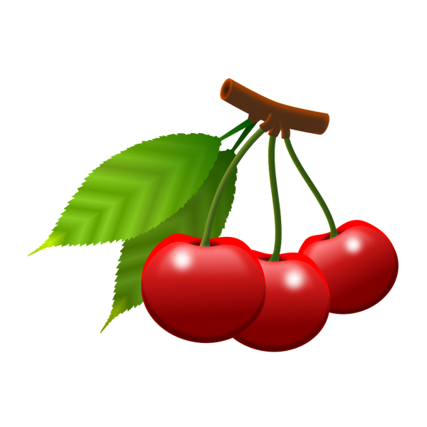 Клипарт ягоды на прозрачном фоне