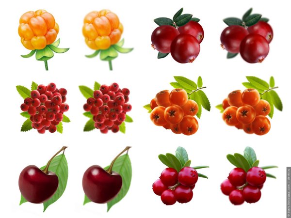 Ягоды для детского сада