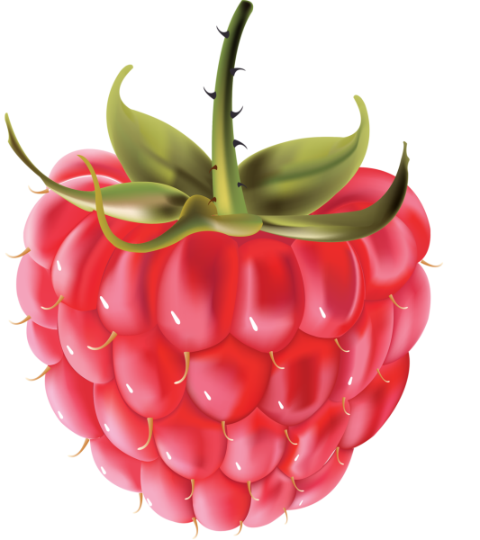 Малина 1 ягода