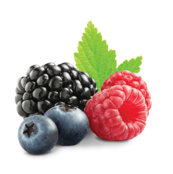 Ягоды на белом фоне