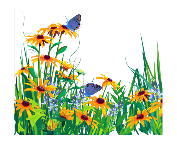 Цветочный луг на прозрачном фоне