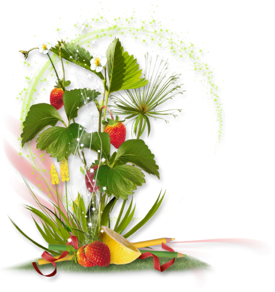 Леп тор на прозрачном фоне