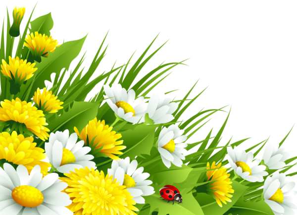 Лето клипарт