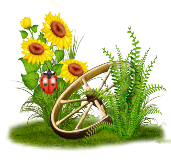 Лето клипарт