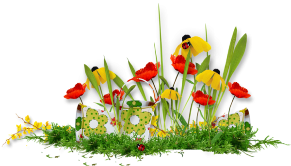 Лето на прозрачном фоне