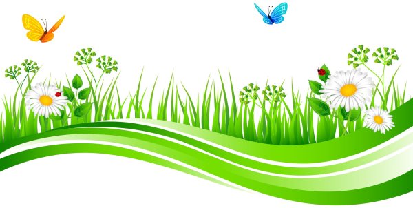 Полянку лето на белом фоне