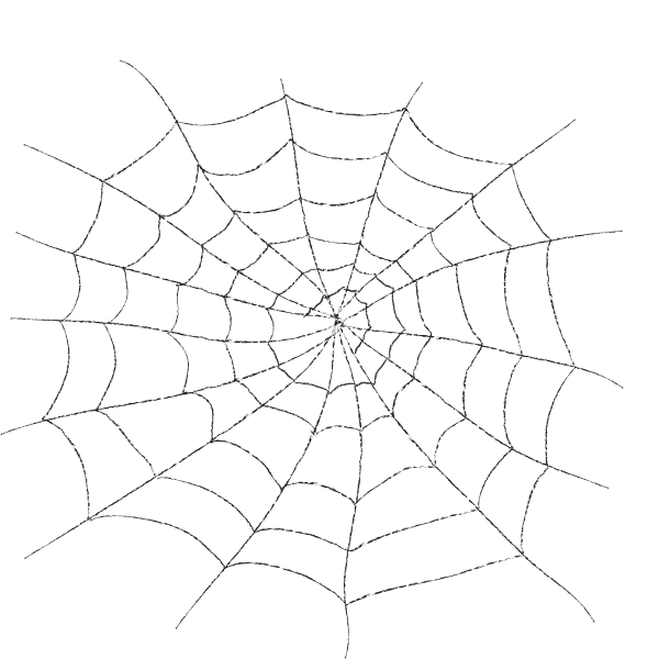 Паутина на прозрачном