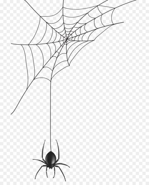 Паутина мультяшная