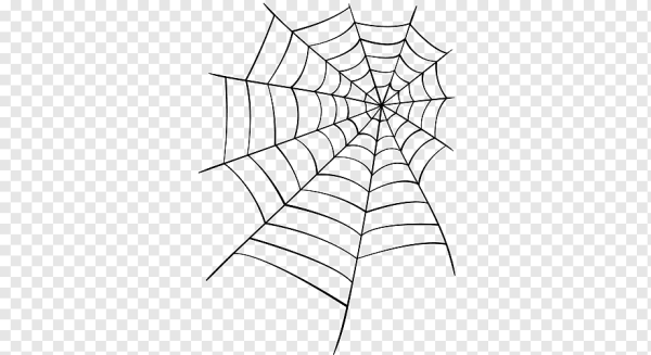 Паутина вектор