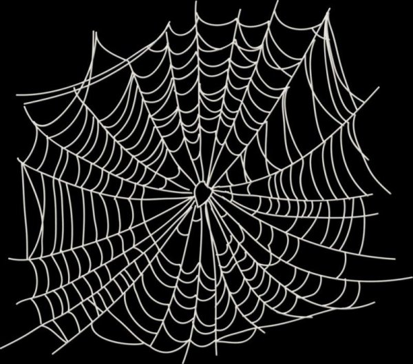 Векторная паутина