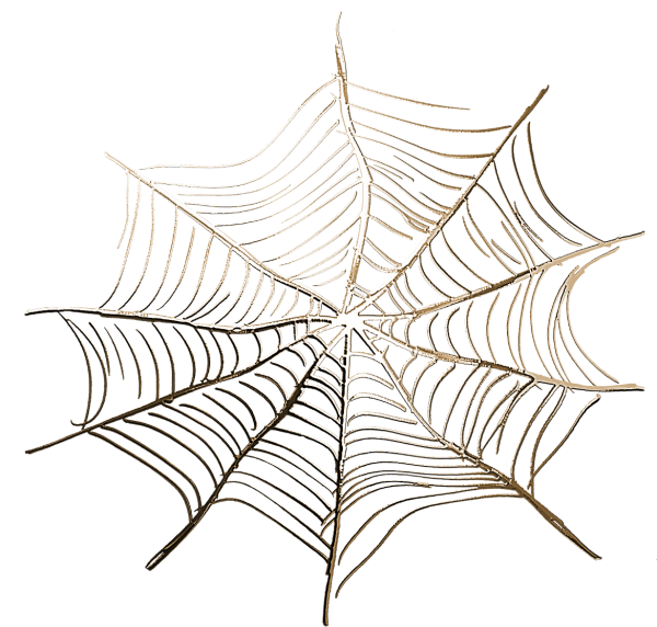 Паутинка на белом фоне
