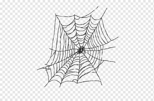 Паутина на прозрачном
