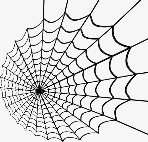 Паутина человека паука ветор