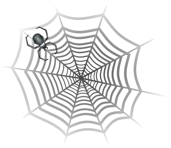 Паутина на белом фоне