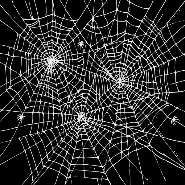 Паутина черная