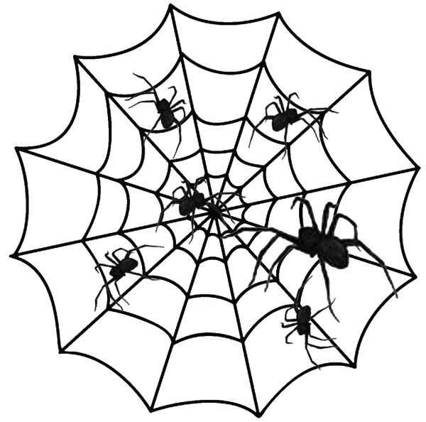 Паутина человека паука