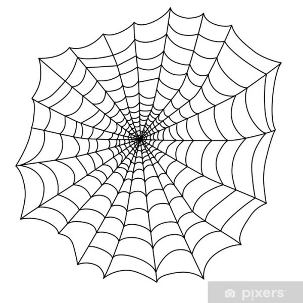 Паутина на Хэллоуин на белом фоне