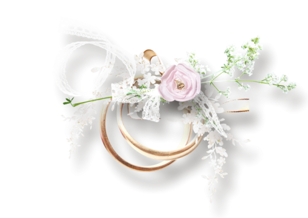 Свадебные украшения на прозрачном фоне