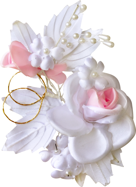 Свадебные клипарты на прозрачном фоне