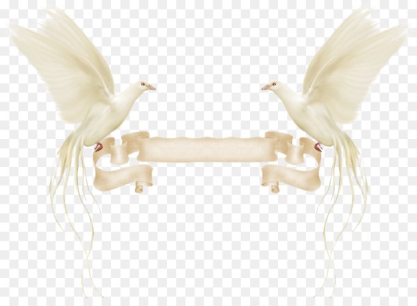 Свадебные украшения на прозрачном фоне