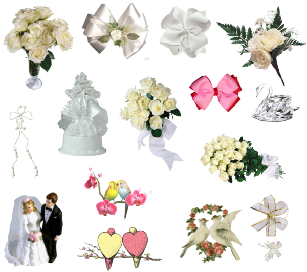 Векторные жених и невеста