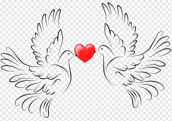 Жених и невеста вектор